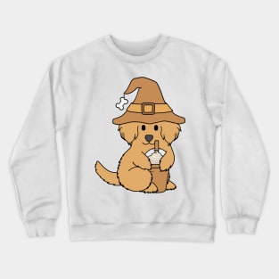 Pumpkin Spice Cavoodle Crewneck Sweatshirt